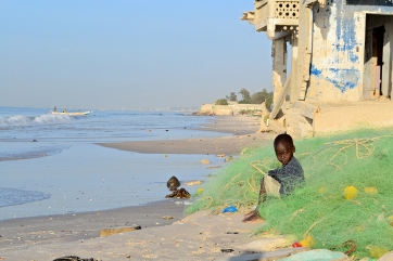 Because of foreign illegal and overfishing local fish stocks started to decline rapidly in Senegal around 2000.